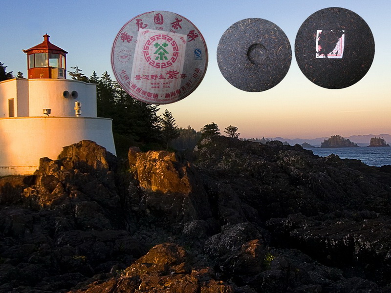 2008 紫龍圓茶 景邁野生紫芽 含豐富花青素 