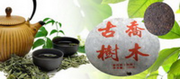 _sE_6816323533_副本